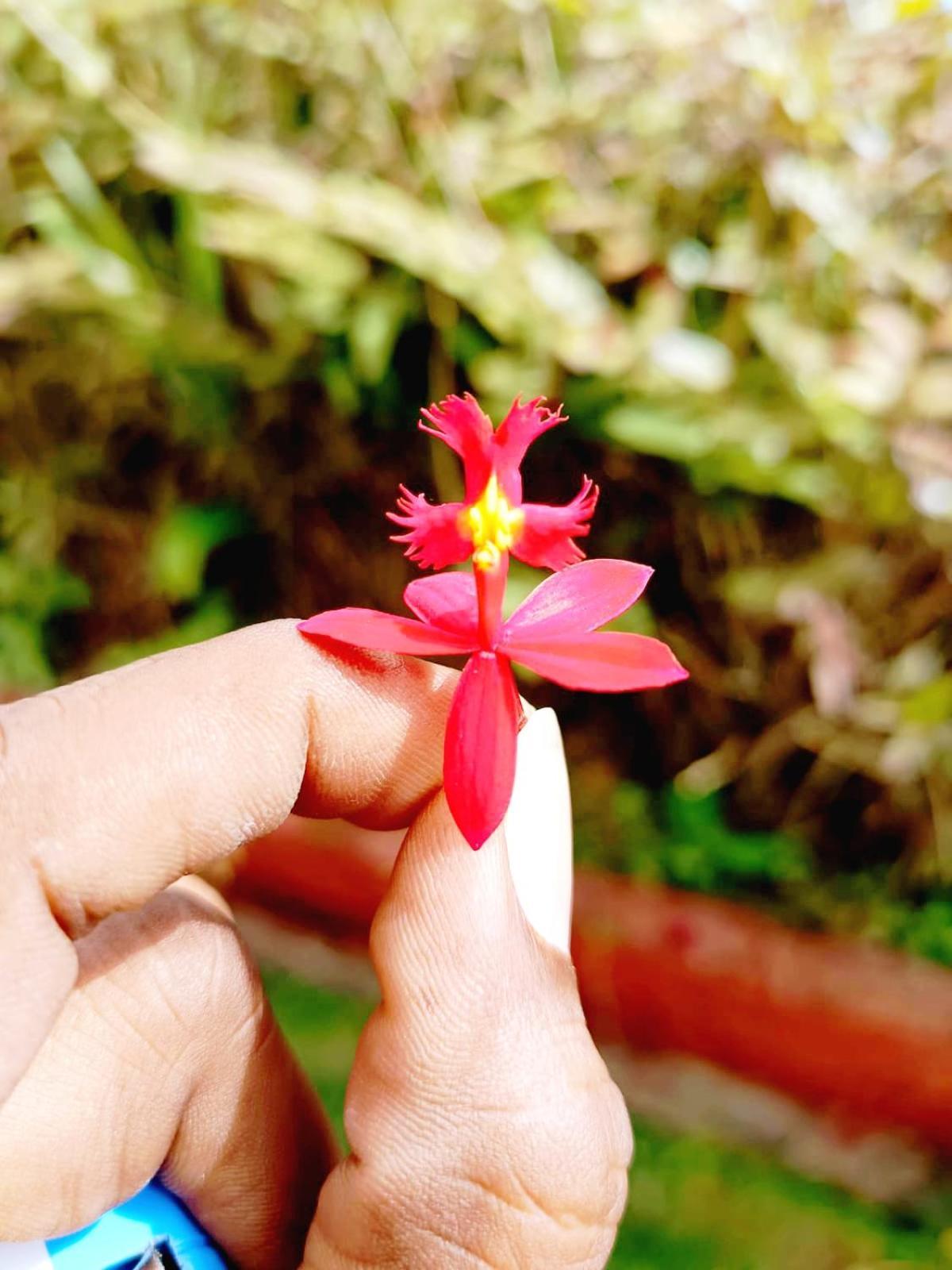 Kodai Riya Paradise Kodaikanal Buitenkant foto