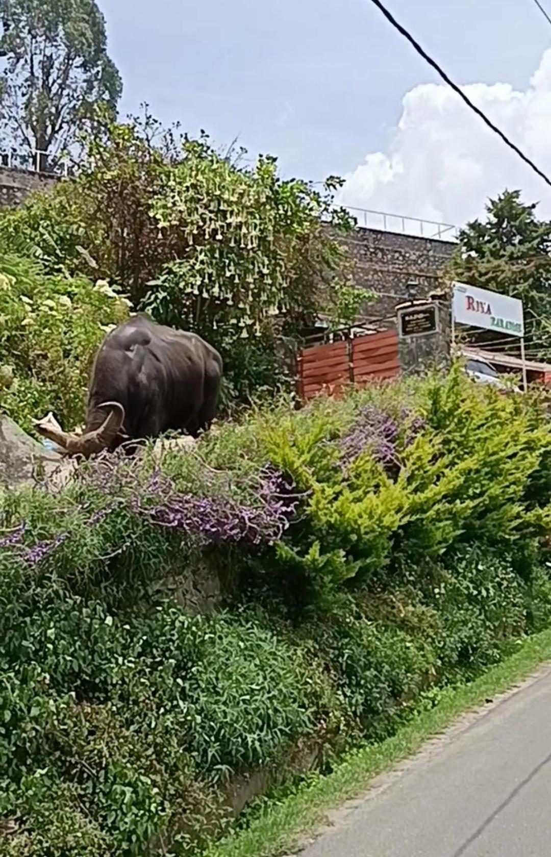 Kodai Riya Paradise Kodaikanal Buitenkant foto